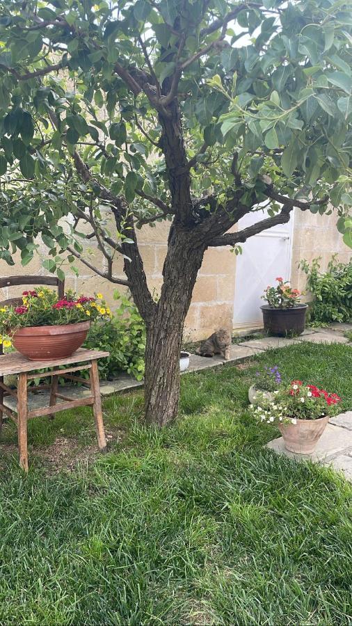 Bio&B Acquaviva Bed and Breakfast Otranto Eksteriør billede